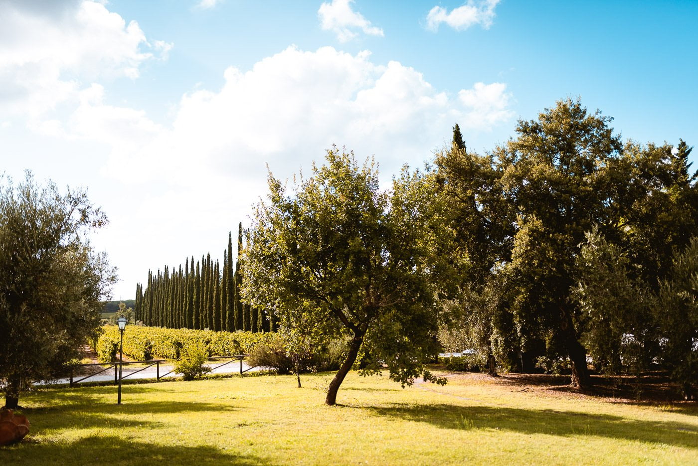 elopement wedding